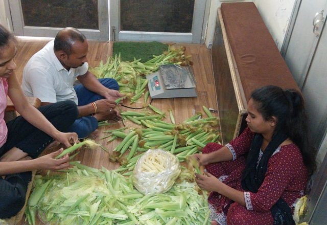 Baby Corn — programme photograph