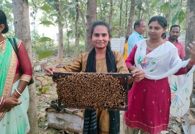 Beekeeping — programme photograph