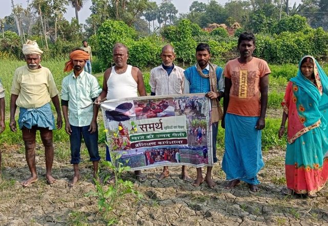 Onion Cultivation — programme photograph