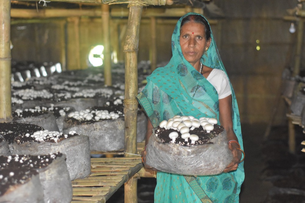 Climate-Resilient Agriculture — programme photograph