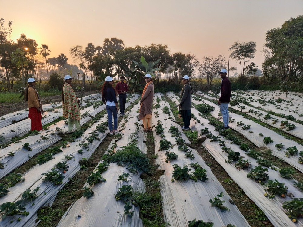 Climate-Resilient Agriculture — programme photograph