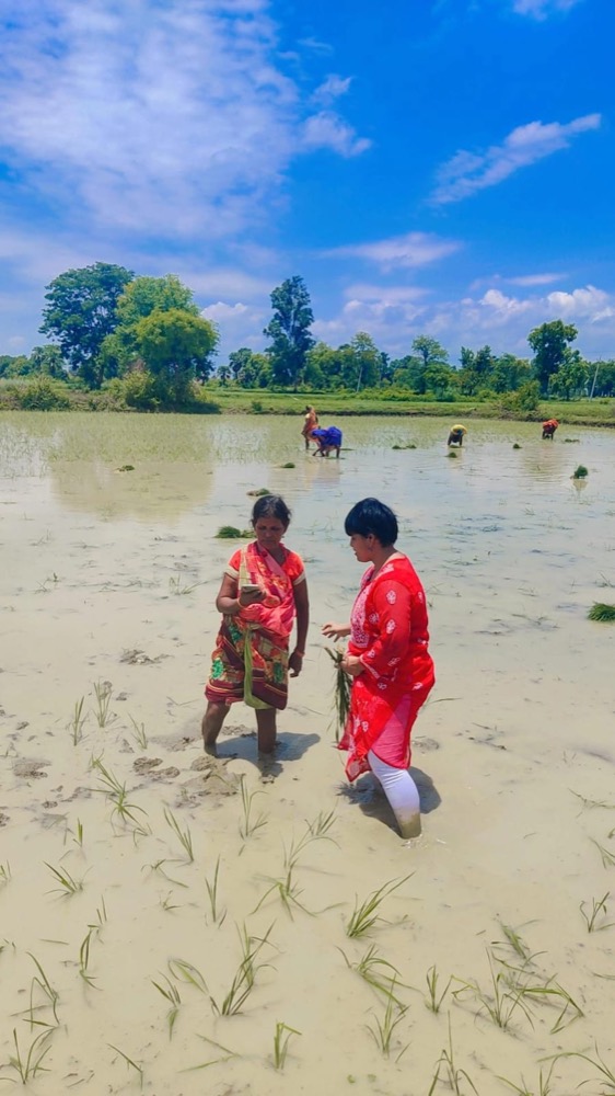 AI in Agriculture — programme photograph