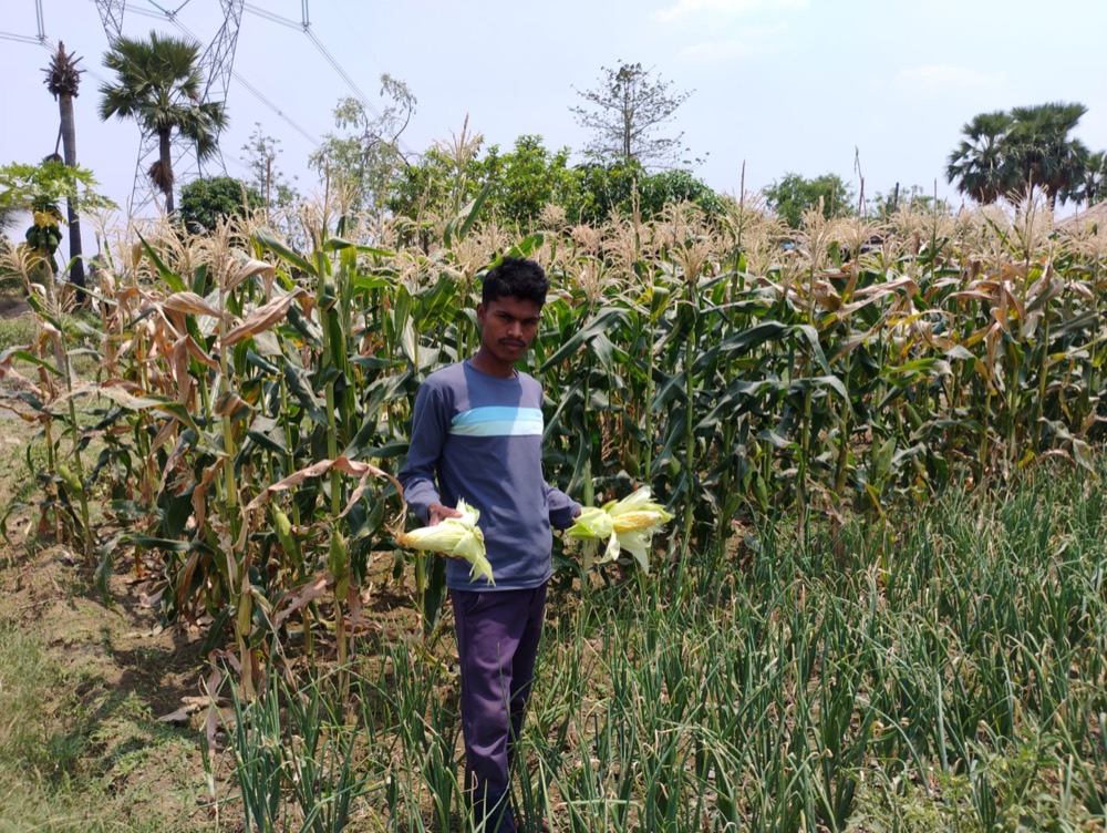 Climate-Resilient Agriculture — programme photograph