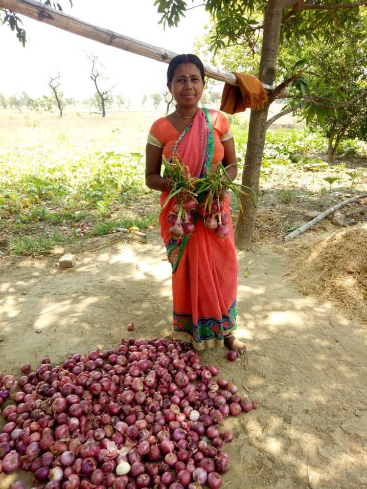 Onion Farming & Storage — programme photograph