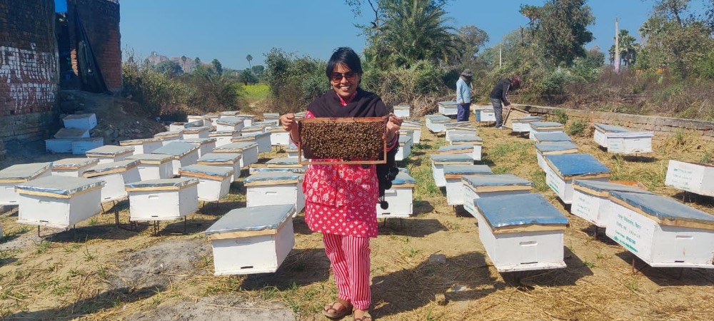 Beekeeping — programme photograph