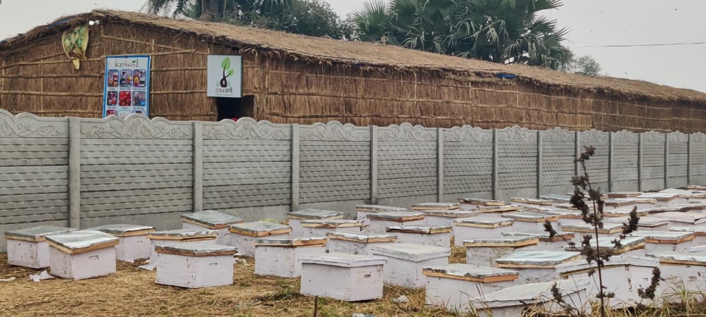 Beekeeping — programme photograph