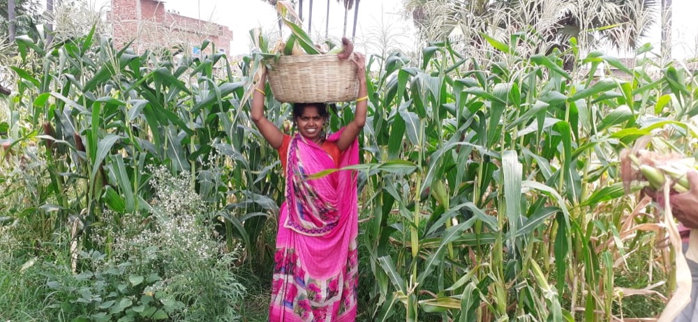 Climate-Resilient Agriculture — programme photograph