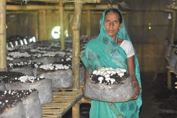 Soil to Success - Image 1