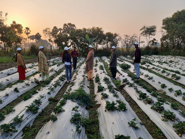 Soil to Success - Image 3