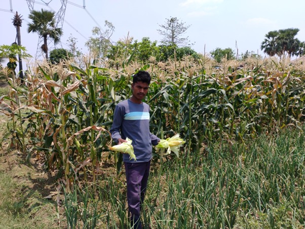 Soil to Success - Image 4