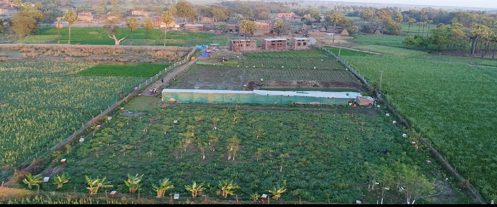 Agricultural landscape at SumArth Kendra